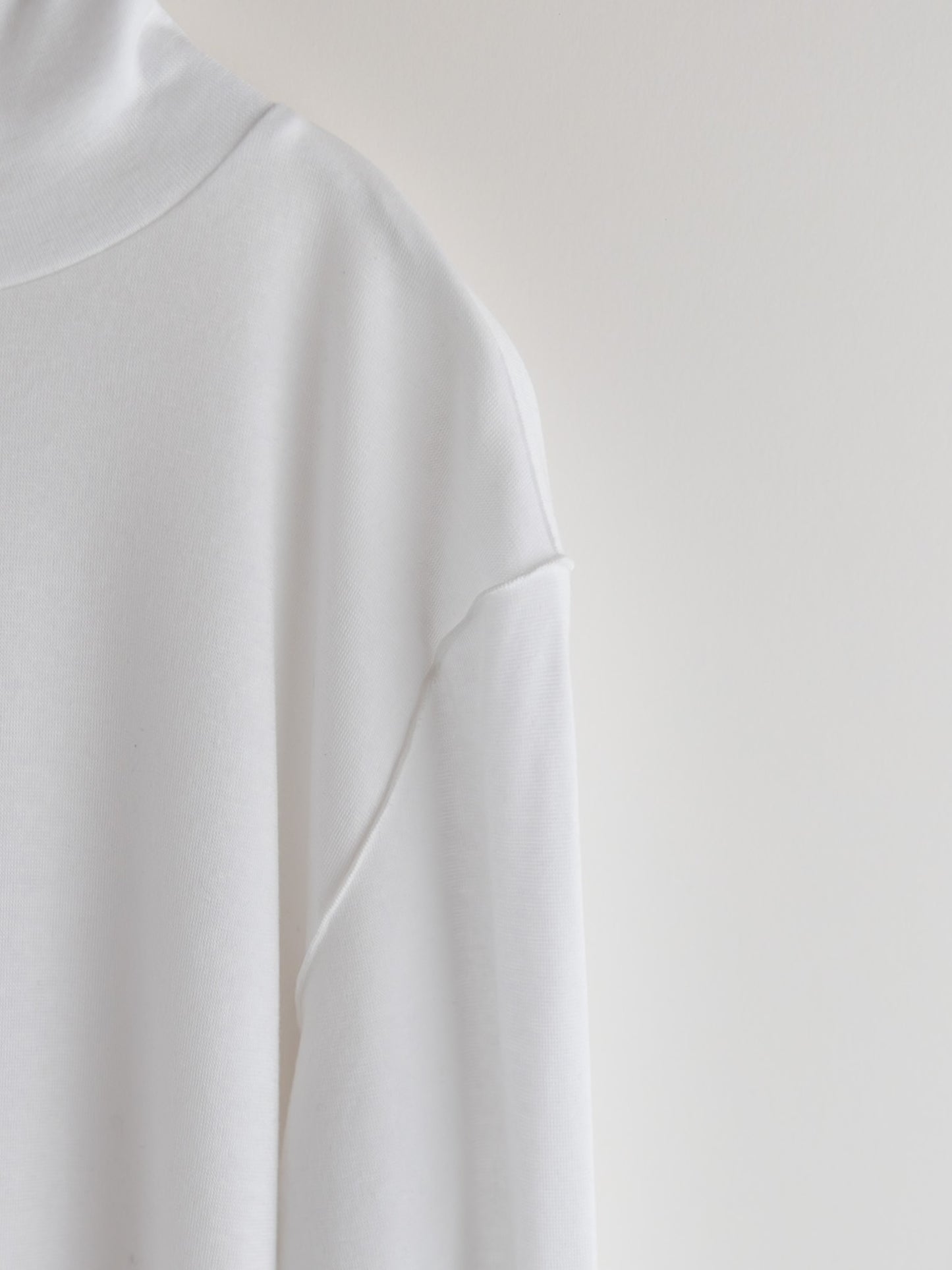 pre order / calm air turtle