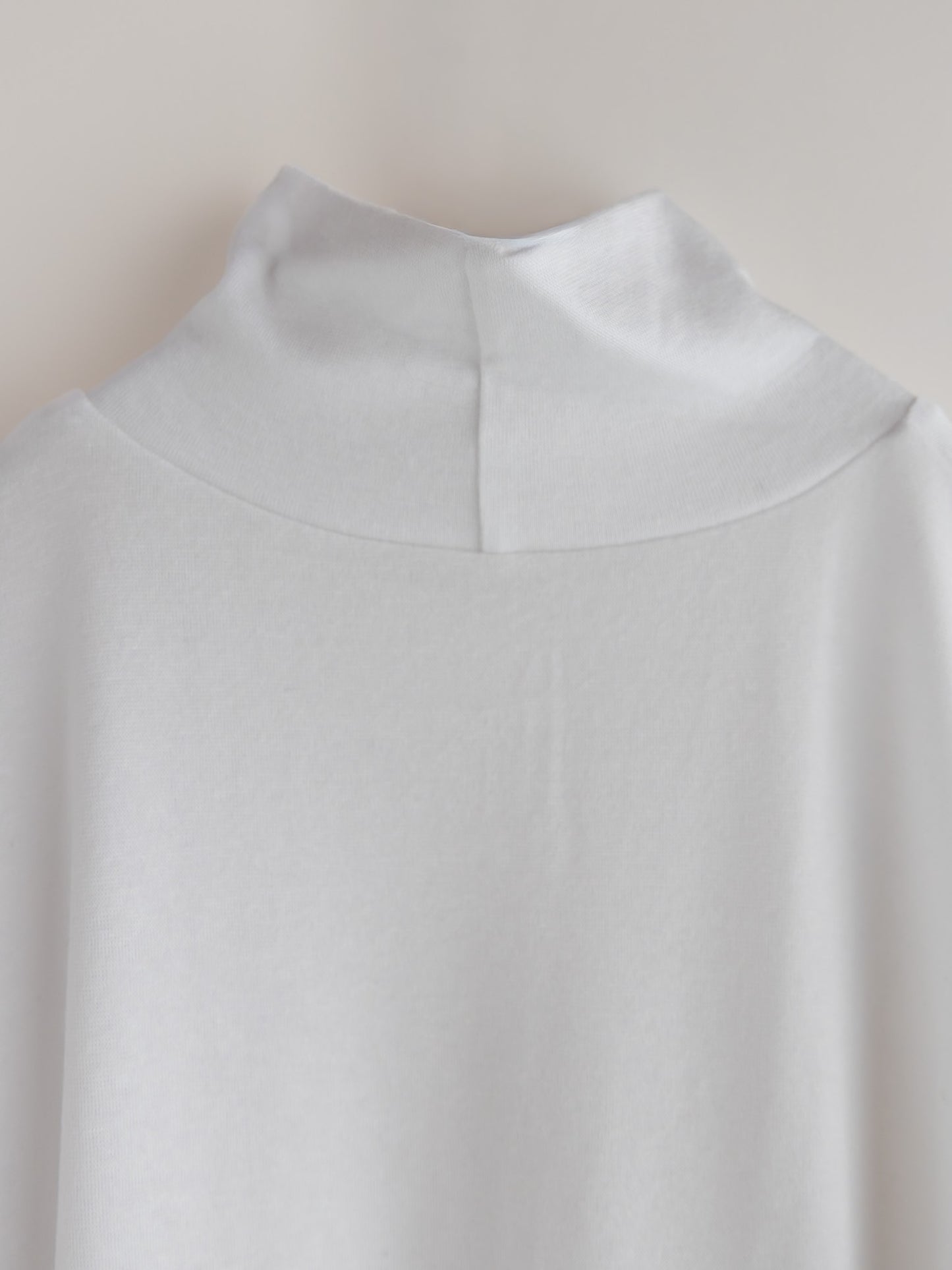 pre order / calm air turtle